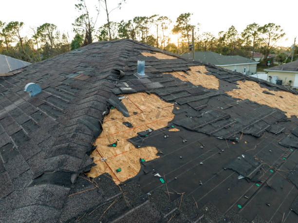 Best Roof Maintenance and Cleaning  in Osawatomie, KS